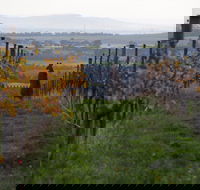 Barwon Ridge Wines - Seniors Australia