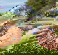 Redgate Wines - Seniors Australia