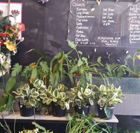 Milk Froth - Ascot Hamilton - Seniors Australia