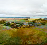 Pettavel Wines - Seniors Australia