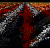 Sandhurst Ridge - Seniors Australia