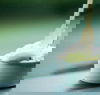 Daintree Ice Cream Company - Seniors Australia