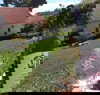 Leaning Church Vineyard - Seniors Australia