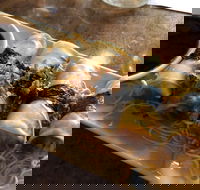 Taphouse Mulberry Estate - Seniors Australia