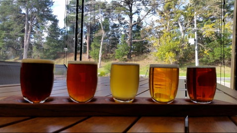 Cubby Haus Brewing - Brewery And Bar - Seniors Australia 1