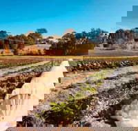 Synchronicity Farm - Seniors Australia