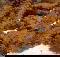 KFC - Forrestfield - Seniors Australia