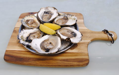 The Little Mussel Cafe - Seniors Australia 1