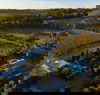 Shingleback Wine - Seniors Australia