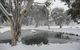 CHILL-OUT @ THREDBO - thumb 38