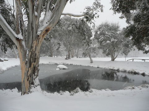 CHILL-OUT @ THREDBO - Seniors Australia 38
