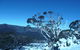 CHILL-OUT @ THREDBO - thumb 33