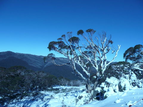 CHILL-OUT @ THREDBO - Seniors Australia 33