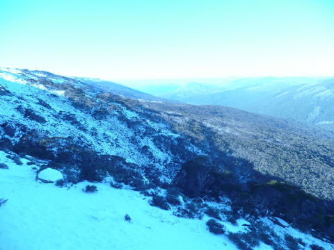 CHILL-OUT @ THREDBO - Seniors Australia 39