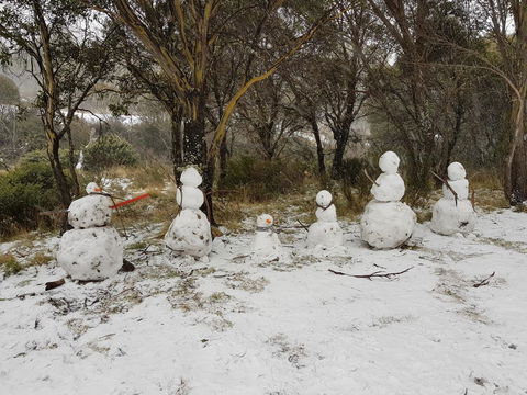 CHILL-OUT @ THREDBO - Seniors Australia 21