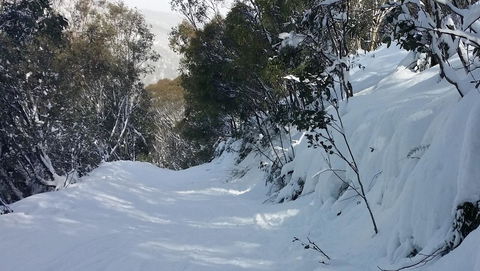 CHILL-OUT @ THREDBO - Seniors Australia 17