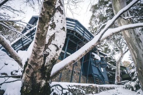 Pure Chalet Thredbo - Seniors Australia 21