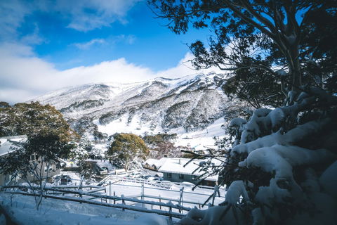 Pure Chalet Thredbo - Seniors Australia 31