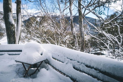 Pure Chalet Thredbo - Seniors Australia 19