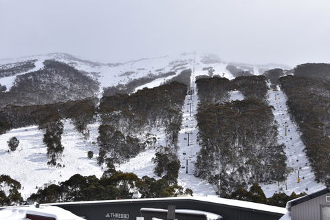 Pure Chalet Thredbo - Seniors Australia 6