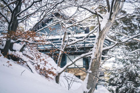 Pure Chalet Thredbo - Seniors Australia 27