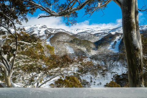 Pure Chalet Thredbo - Seniors Australia 17