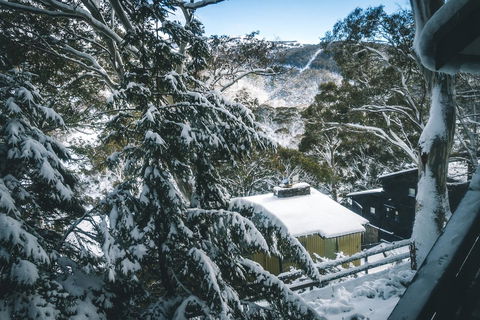 Pure Chalet Thredbo - Seniors Australia 34