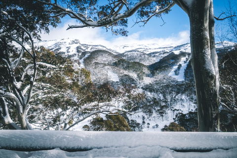 Pure Chalet Thredbo - Seniors Australia 2