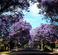 Monaco Court Apartment Adelaide - Seniors Australia