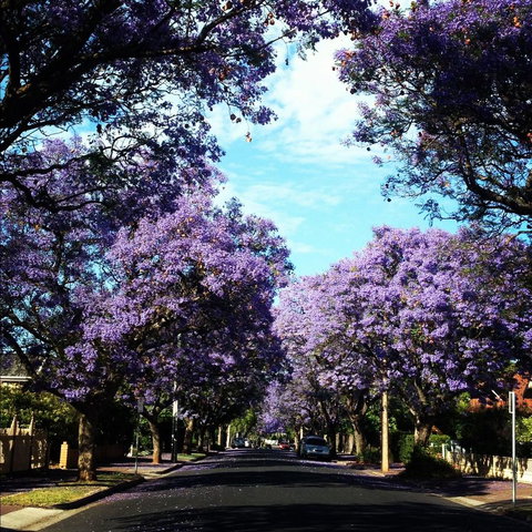 Monaco Court Apartment Adelaide - Seniors Australia 0
