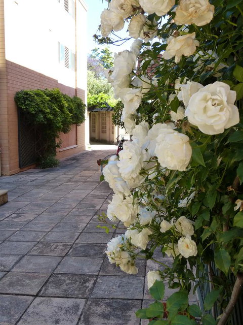 Monaco Court Apartment Adelaide - Seniors Australia 19