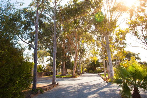 Modra's Apartments - Seniors Australia 0