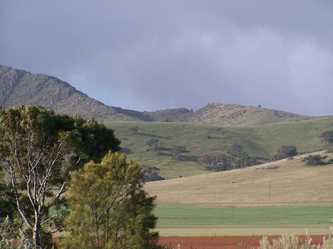 Burra Motor Inn - Seniors Australia 32