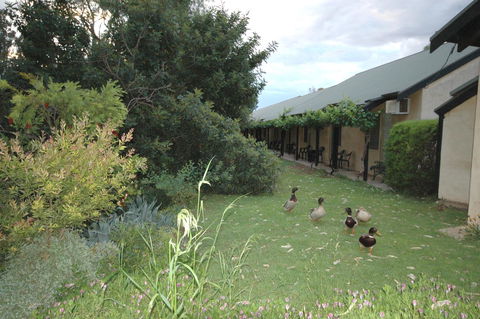 Burra Motor Inn - Seniors Australia 24