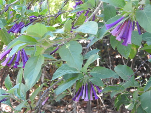 A Secret Garden - Seniors Australia 11