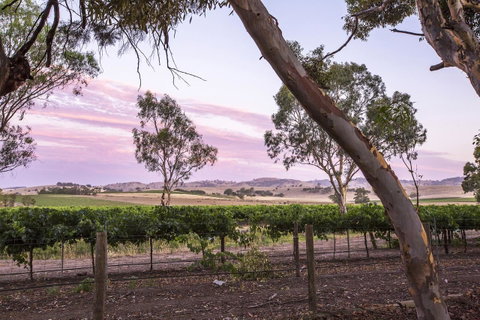 Jasmine's Barossa Valley Cottage - Seniors Australia 19