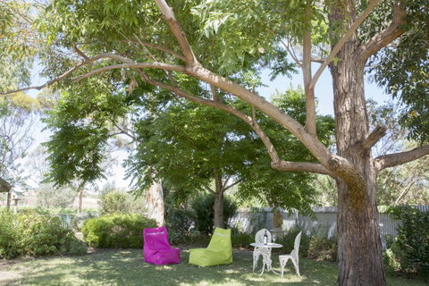 Jasmine's Barossa Valley Cottage - Seniors Australia 18