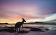 Esperance YHA - thumb 20