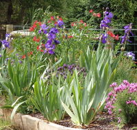 Karoola Cottage Self Contained - Seniors Australia