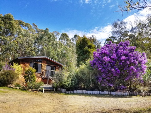 Southern Forest Accommodation - Seniors Australia 10