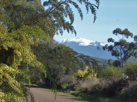 Southern Forest Accommodation - Seniors Australia 24