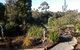 Southern Forest Accommodation - thumb 2
