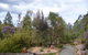 Southern Forest Accommodation - thumb 23