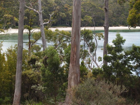 Stewarts Bay Lodge - Seniors Australia 23