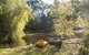 Whispering Spirit Holiday Cottages & Mini Ponies - thumb 6
