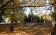 Whispering Spirit Holiday Cottages & Mini Ponies - thumb 5