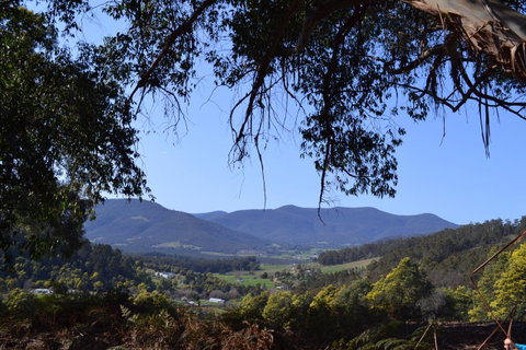 Whispering Spirit Holiday Cottages & Mini Ponies - Seniors Australia 14