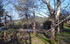 Whispering Spirit Holiday Cottages & Mini Ponies - thumb 11