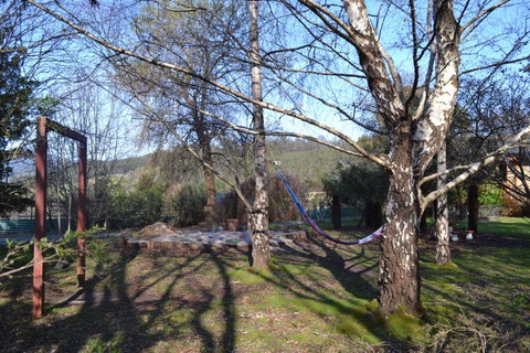 Whispering Spirit Holiday Cottages & Mini Ponies - Seniors Australia 11
