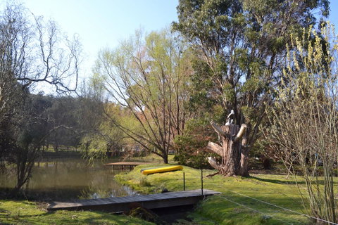 Whispering Spirit Holiday Cottages & Mini Ponies - Seniors Australia 12